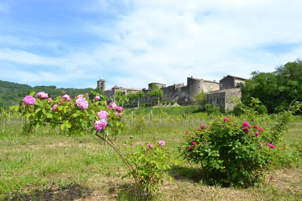 Saint-Jean-d'Aigues-Vives Chambres D'Hotes Domaine Du Hameau Baylesse מראה חיצוני תמונה