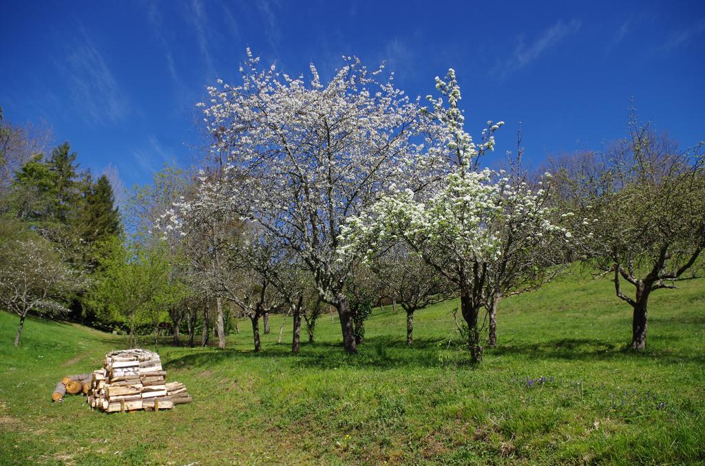 Saint-Jean-d'Aigues-Vives Chambres D'Hotes Domaine Du Hameau Baylesse מראה חיצוני תמונה